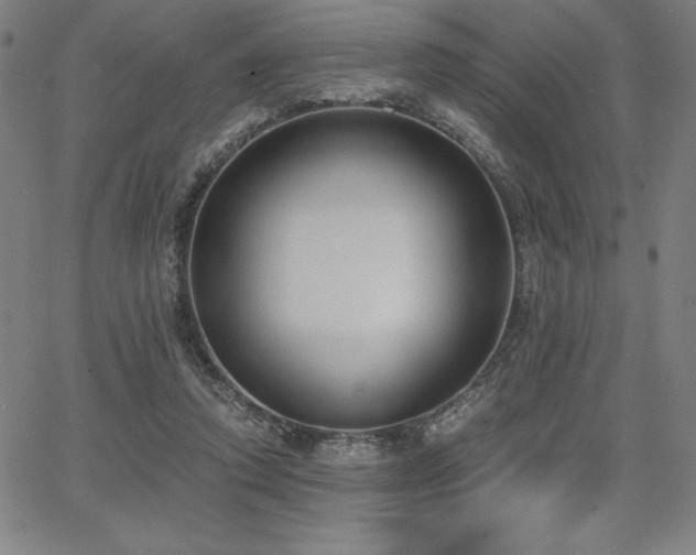 X0000068260354200604211050