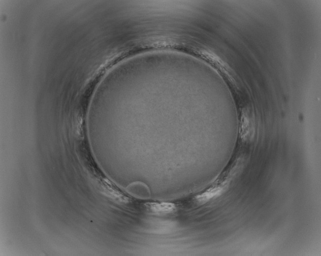 X0000068260355200604211050