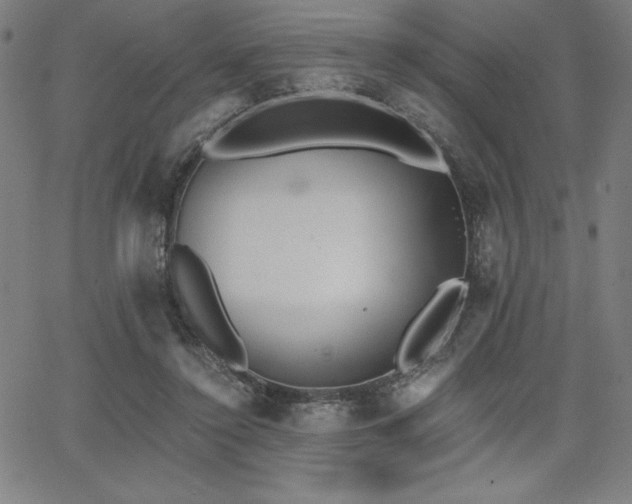 X0000068260356200604211050