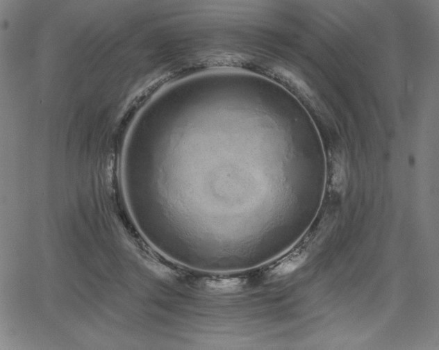 X0000068260357200604211050