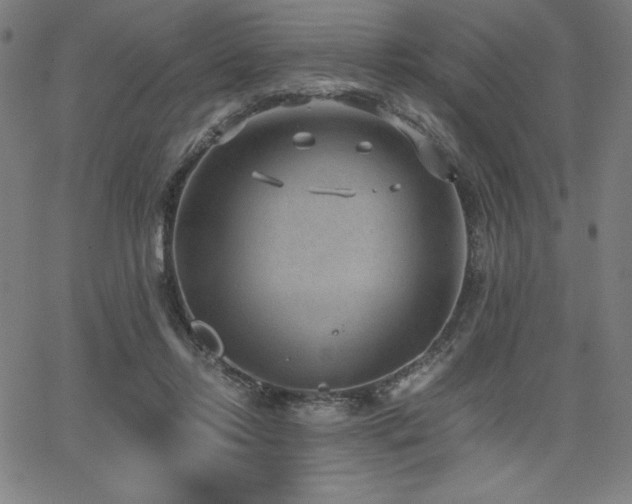 X0000068260358200604211050