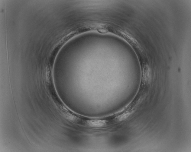 X0000068260359200604211050