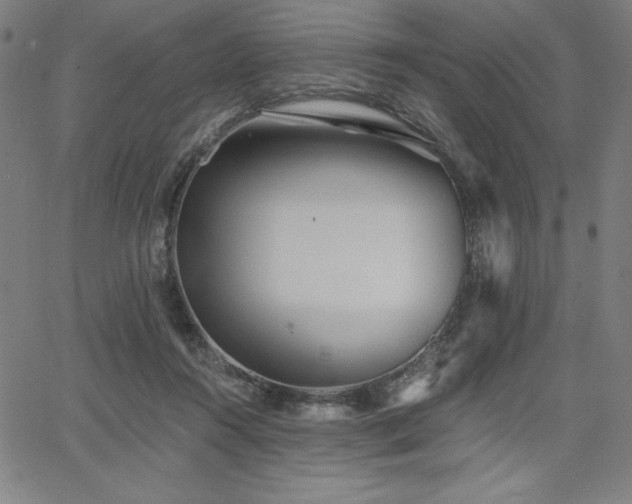 X0000068260360200604211050