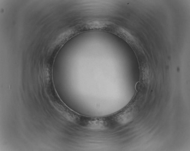 X0000068260362200604211050