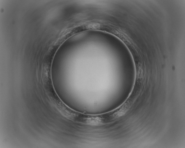 X0000068260363200604211050