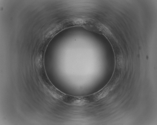 X0000068260364200604211050