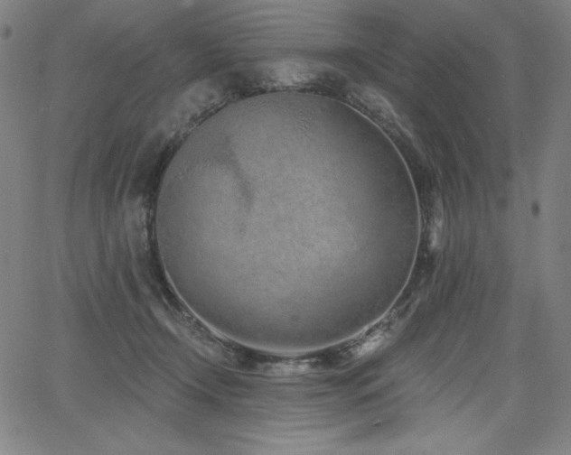 X0000068260366200604211051