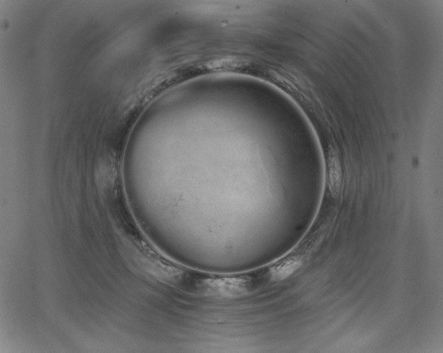 X0000068260367200604211051