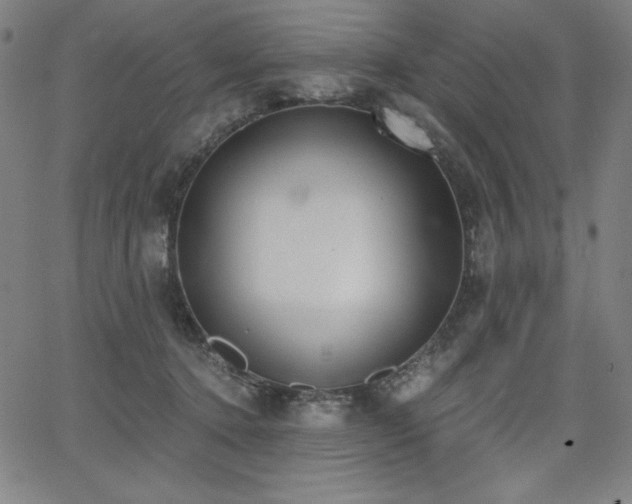 X0000068260368200604211051