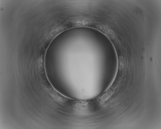 X0000068260369200604211051