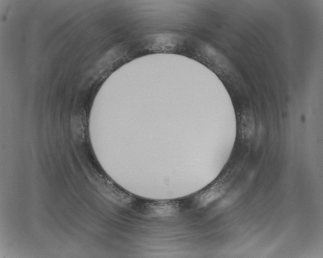 X0000068260370200604211051