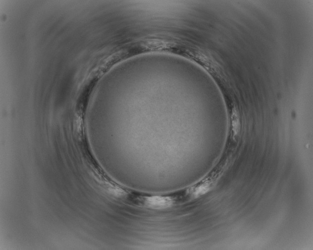 X0000068260371200604211051