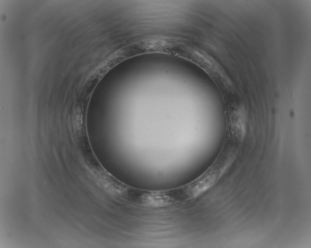 X0000068260372200604211051