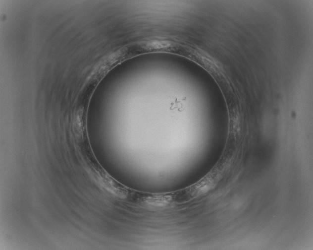 X0000068260373200604211051