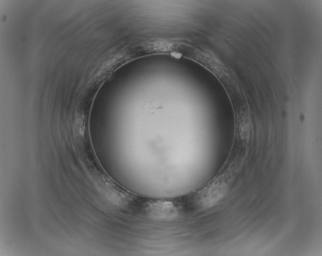 X0000068260374200604211051