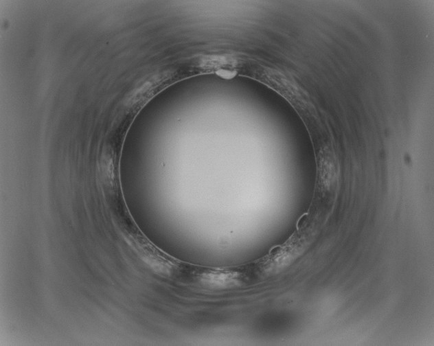 X0000068260375200604211051