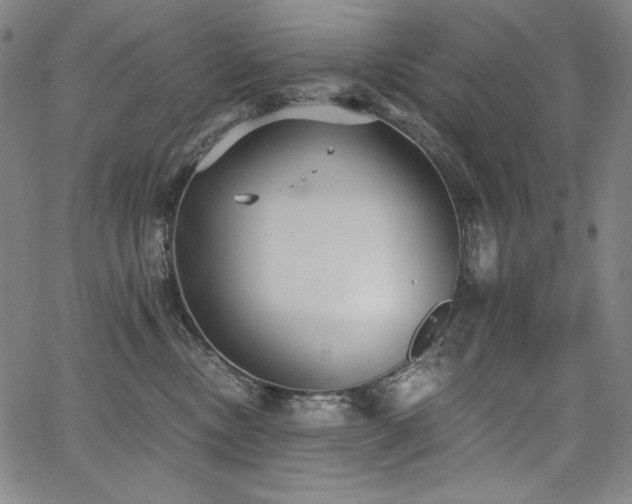 X0000068260378200604211051