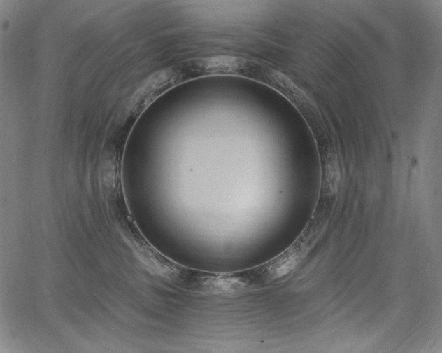 X0000068260379200604211051