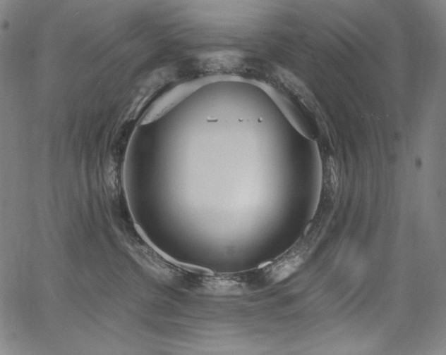 X0000068260380200604211051