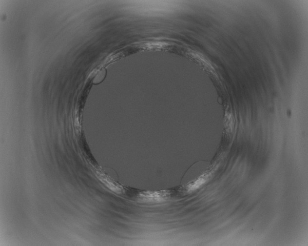 X0000068260381200604211051