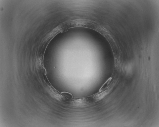 X0000068260382200604211051