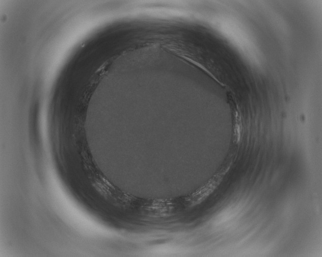 X0000068260383200604211051