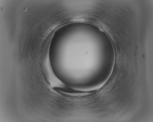 X0000068260385200604211050