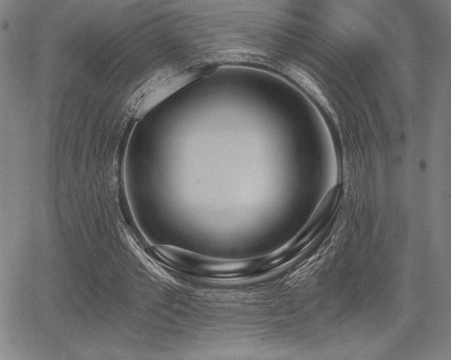 X0000068260389200604211050