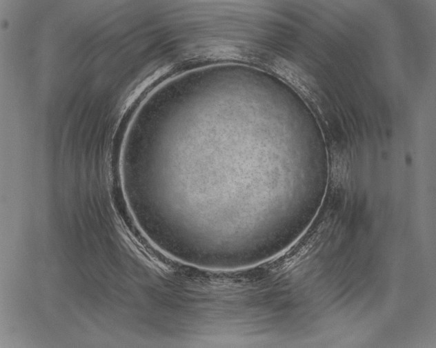 X0000068260390200604211050