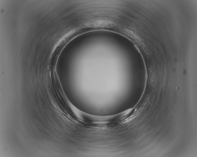 X0000068260392200604211050