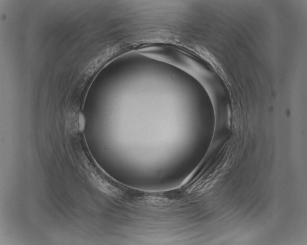 X0000068260393200604211050