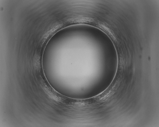 X0000068260394200604211050