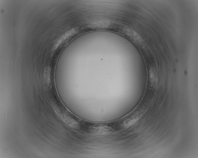 X0000068260396200604211050