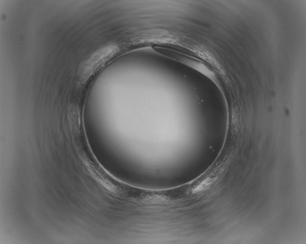 X0000068260397200604211050