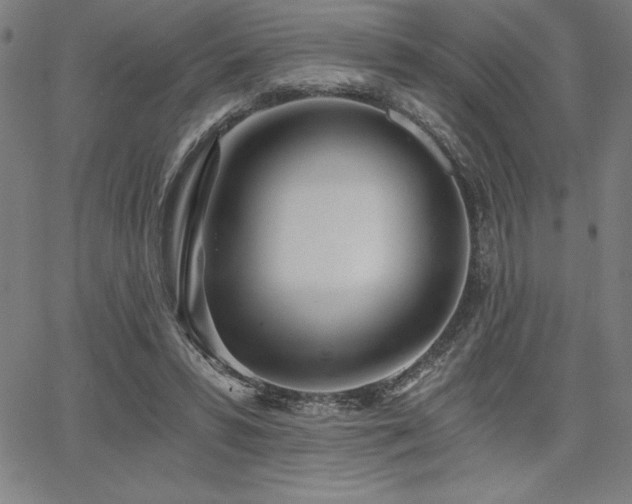 X0000068260399200604211050