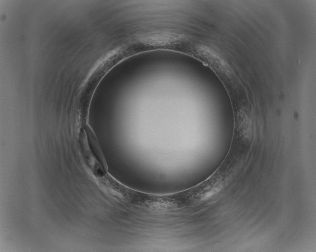 X0000068260400200604211050