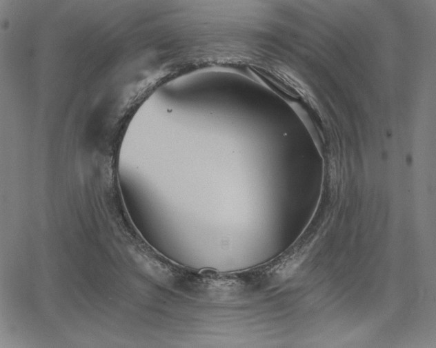 X0000068260401200604211050