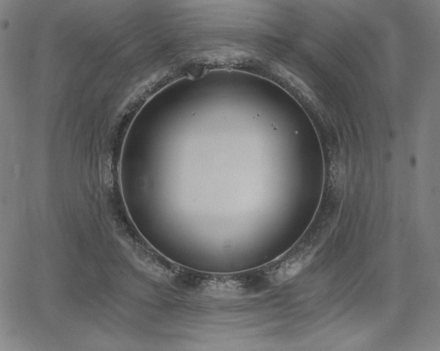 X0000068260403200604211050