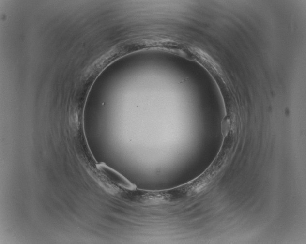 X0000068260405200604211050