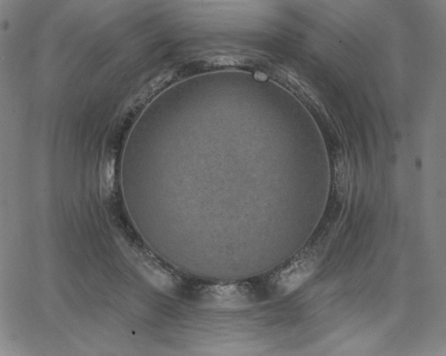 X0000068260406200604211050