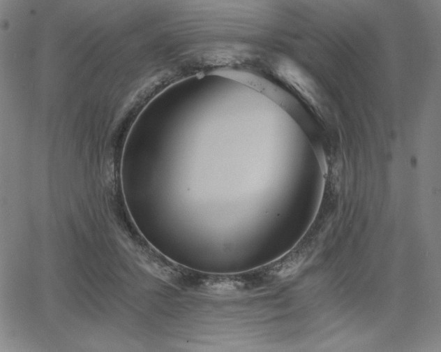 X0000068260407200604211050