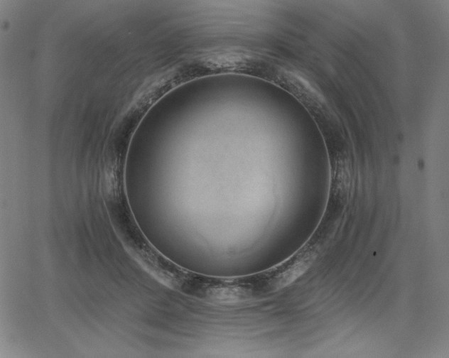 X0000068260408200604211050