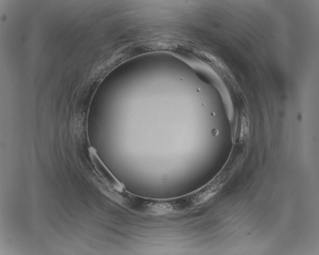 X0000068260409200604211050