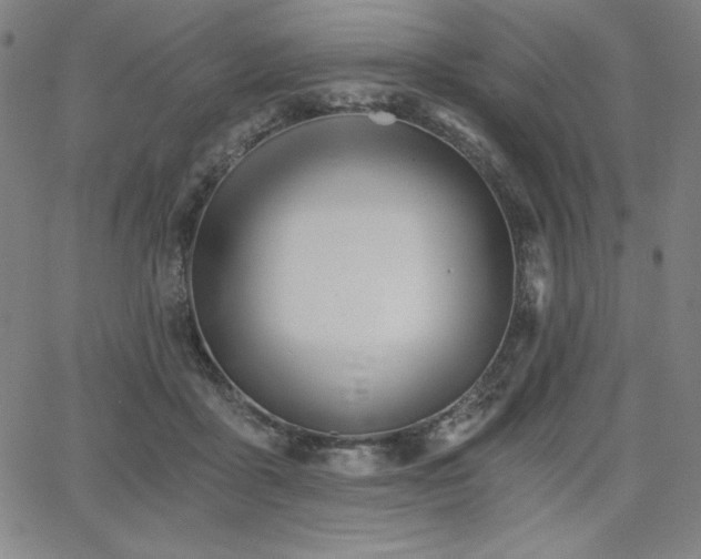 X0000068260411200604211050