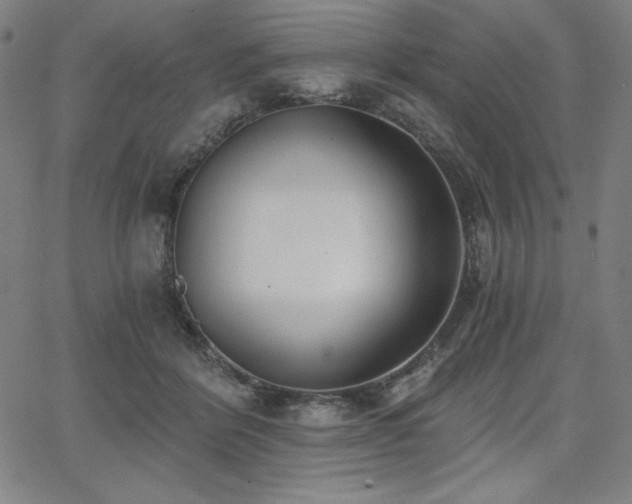 X0000068260412200604211050