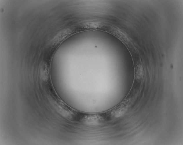 X0000068260414200604211050