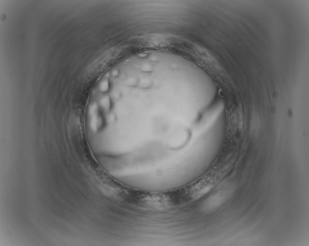 X0000068260415200604211050