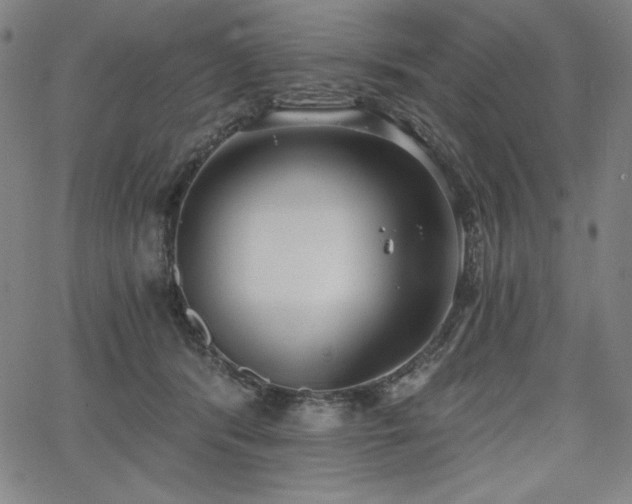 X0000068260416200604211050