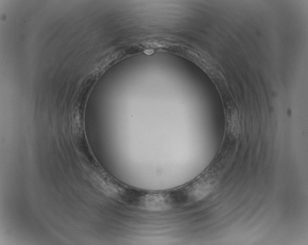 X0000068260418200604211049