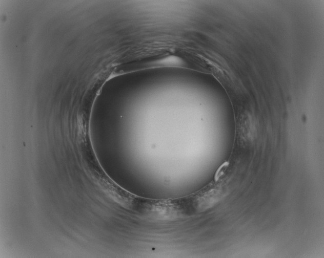 X0000068260420200604211049